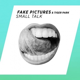 FAKE PICTURES & TIGER PARK - SMALL TALK